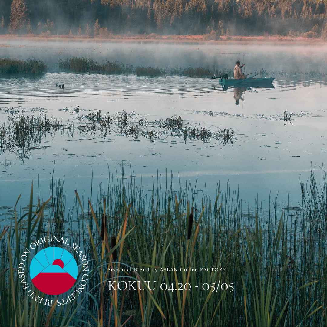 【新豆入荷のお知らせ】