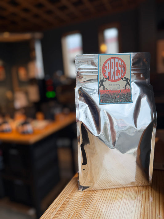 ASLAN水出しコーヒー用パック (５００g/50gパック×10個)