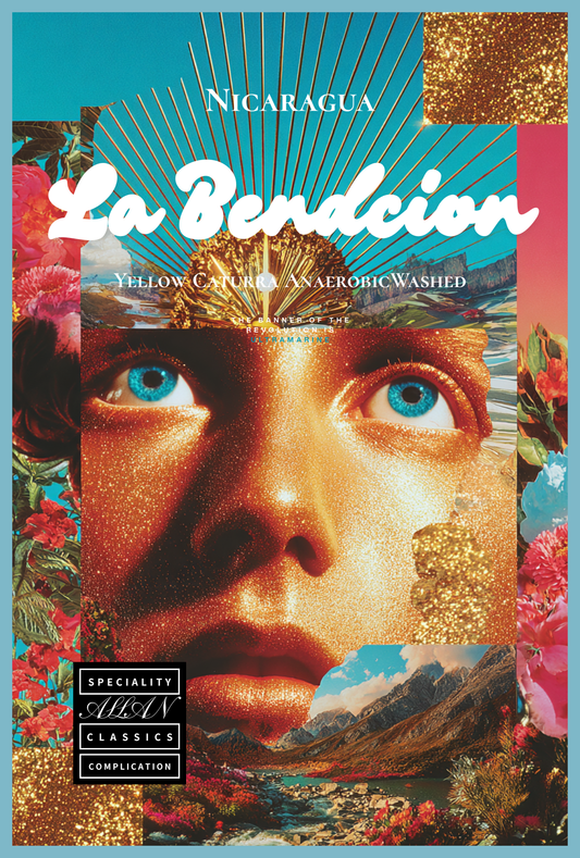 ニカラグア / ラ・ベンディション　イエローカツアイ・アナエロビックウォッシュド　(100g～）